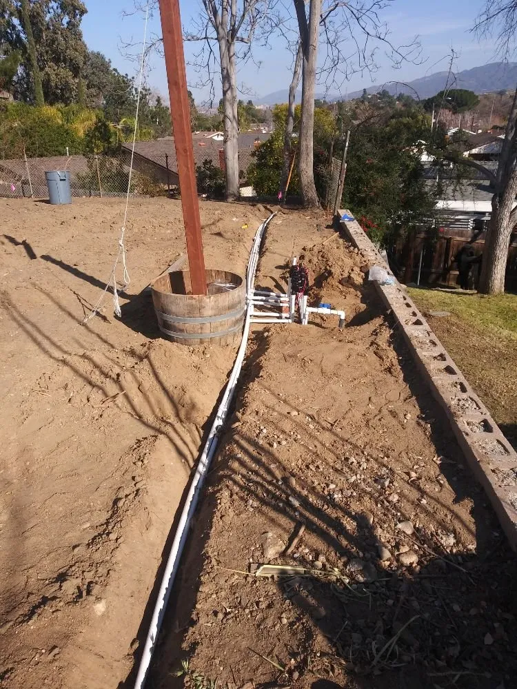 Professional yard cleanup service in Santa Clarita, CA - Rio Landscaping