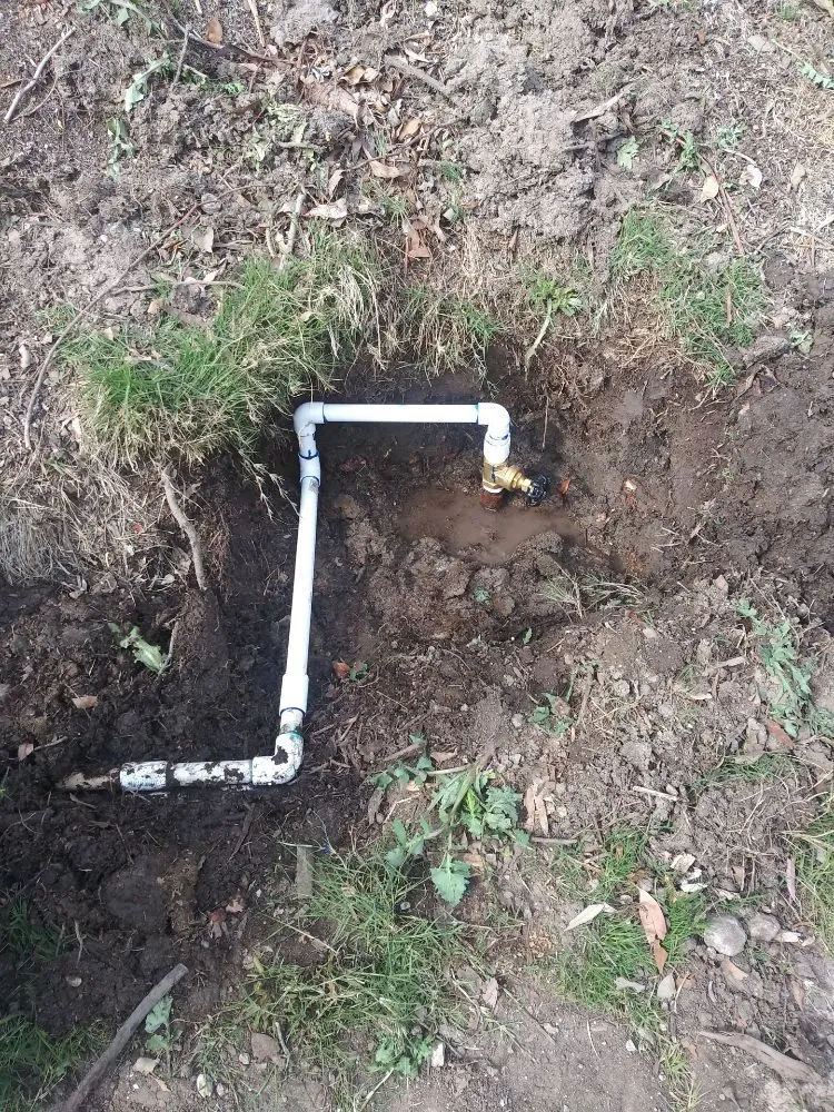 Top-rated residential landscaping in Santa Clarita, CA by Rio Landscaping