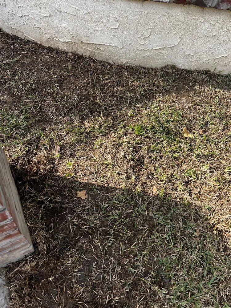 Trusted lawn care service in Santa Clarita, CA - Rio Landscaping