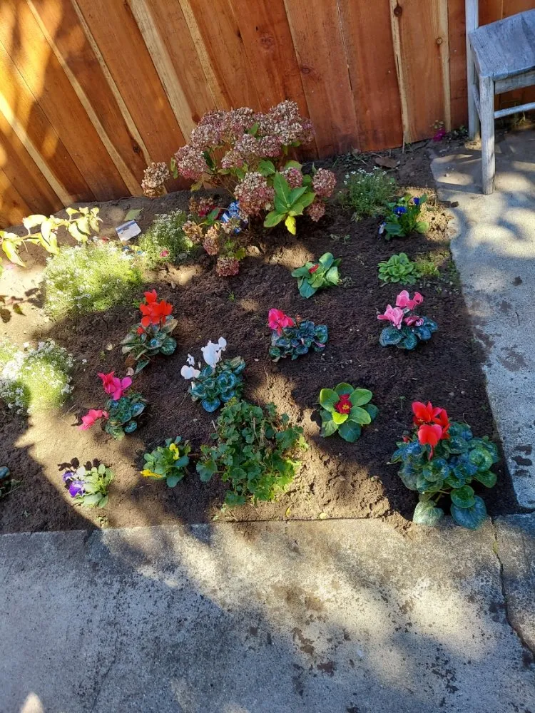 Reliable lawn care service experts serving San Mateo, CA - Rio Verde Gardening E Maintenance