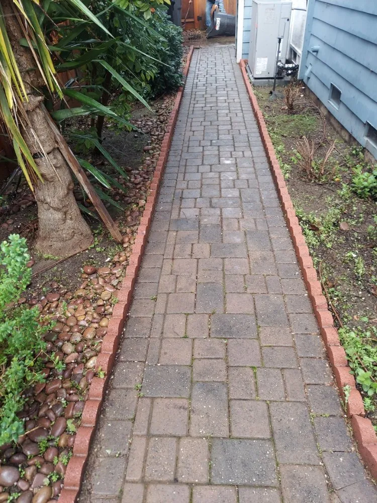 Trusted residential landscaping experts serving San Mateo, CA - Rio Verde Gardening E Maintenance