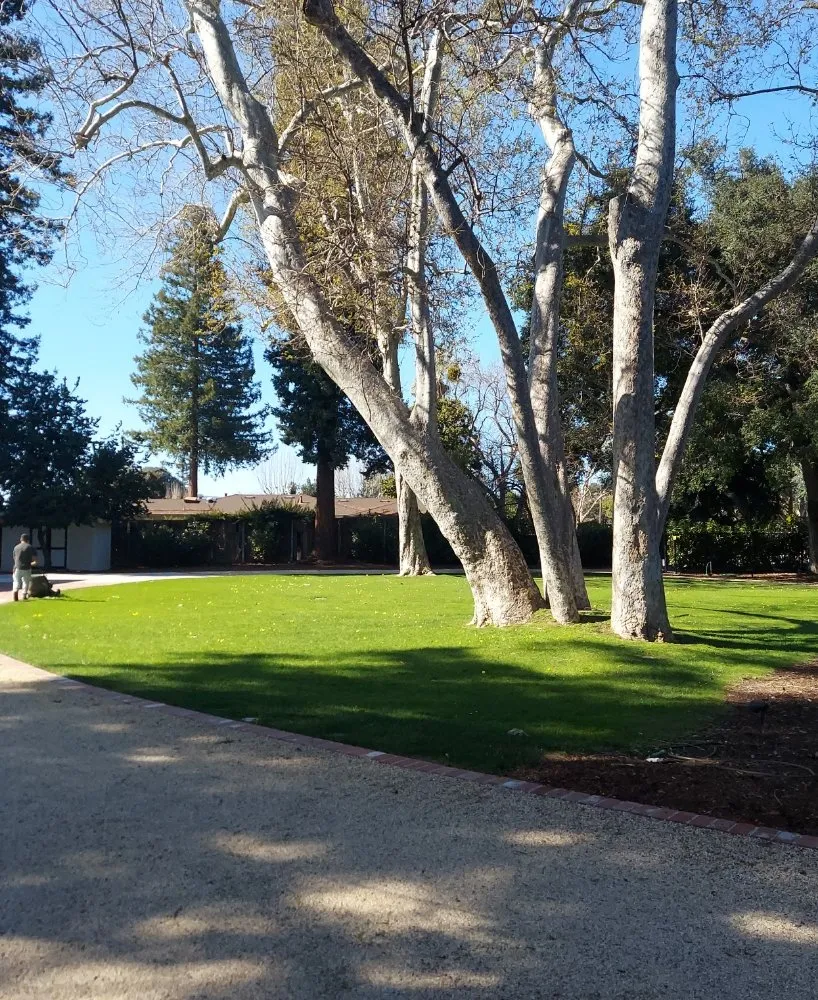 Professional landscape design for beautiful yards across San Mateo, CA - Rio Verde Gardening E Maintenance