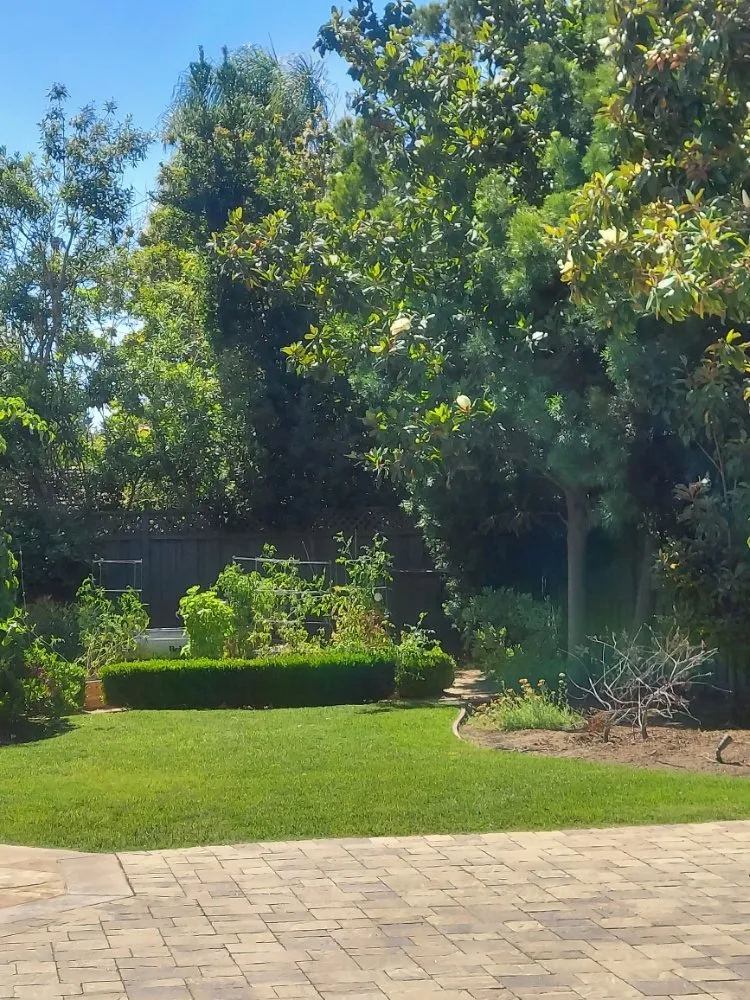 Professional landscaping services in San Mateo, CA - Rio Verde Gardening E Maintenance