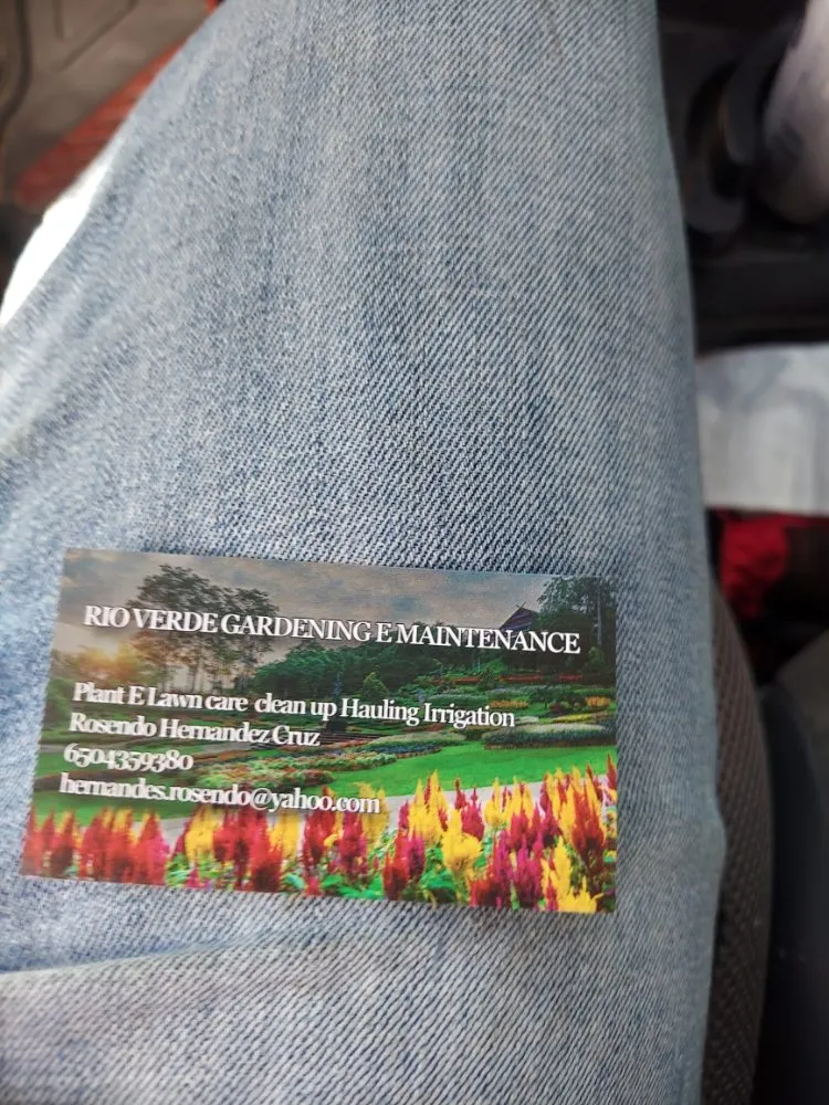 Trusted residential landscaping experts serving San Mateo, CA - Rio Verde Gardening E Maintenance