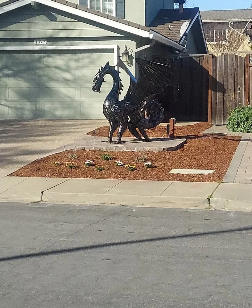 Expert yard cleanup service near you in San Mateo, CA by Rio Verde Gardening E Maintenance