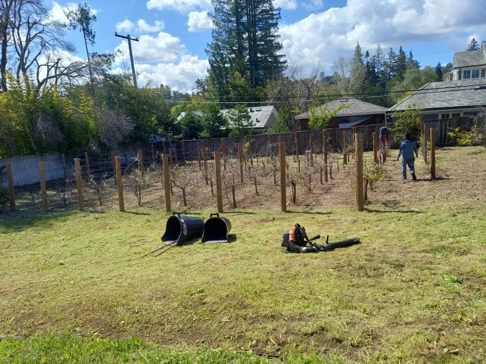 Custom outdoor landscaping experts serving San Mateo, CA - Rio Verde Gardening E Maintenance