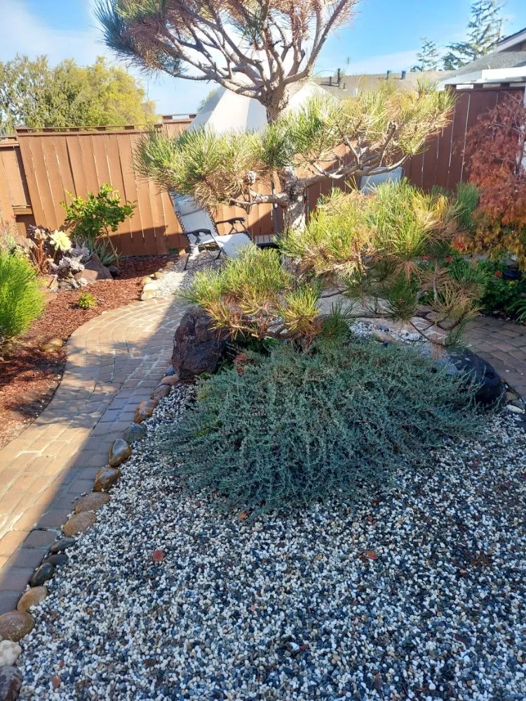 Local lawn care service for beautiful yards in San Mateo, CA by Rio Verde Gardening E Maintenance