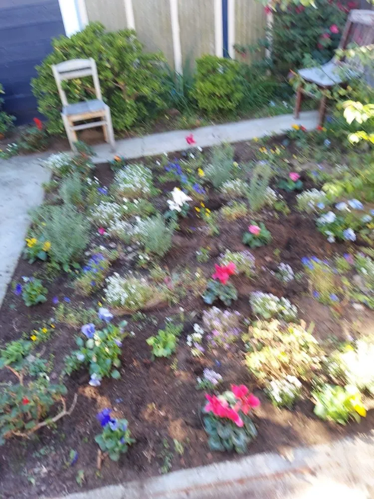 Custom lawn mowing service experts serving San Mateo, CA - Rio Verde Gardening E Maintenance