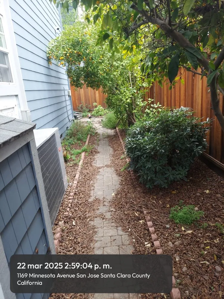 Local lawn mowing service experts serving San Mateo, CA - Rio Verde Gardening E Maintenance