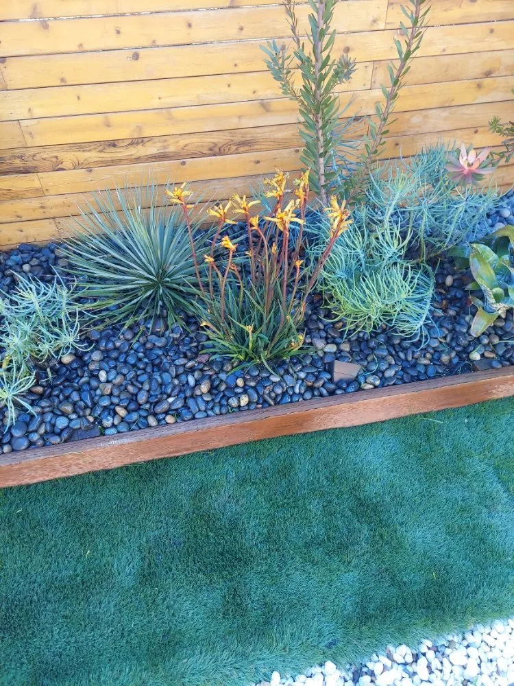 Professional residential landscaping for residential properties across San Mateo, CA - Rio Verde Gardening E Maintenance