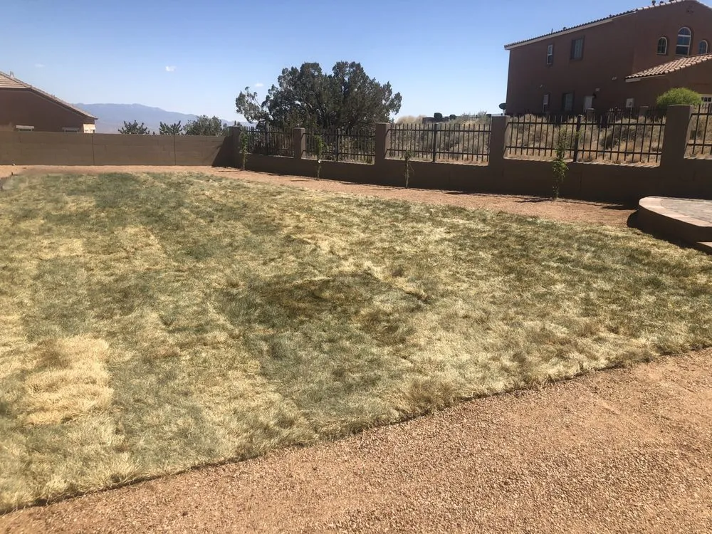 Professional outdoor landscaping experts serving Rio Rancho, NM - Rio Verde Landscaping