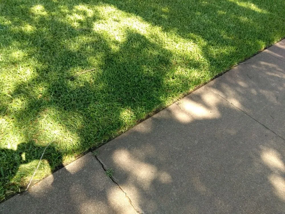 Affordable yard maintenance for year-round maintenance across Dallas, TX - Rio Verde Lawn Care & Mowing Services