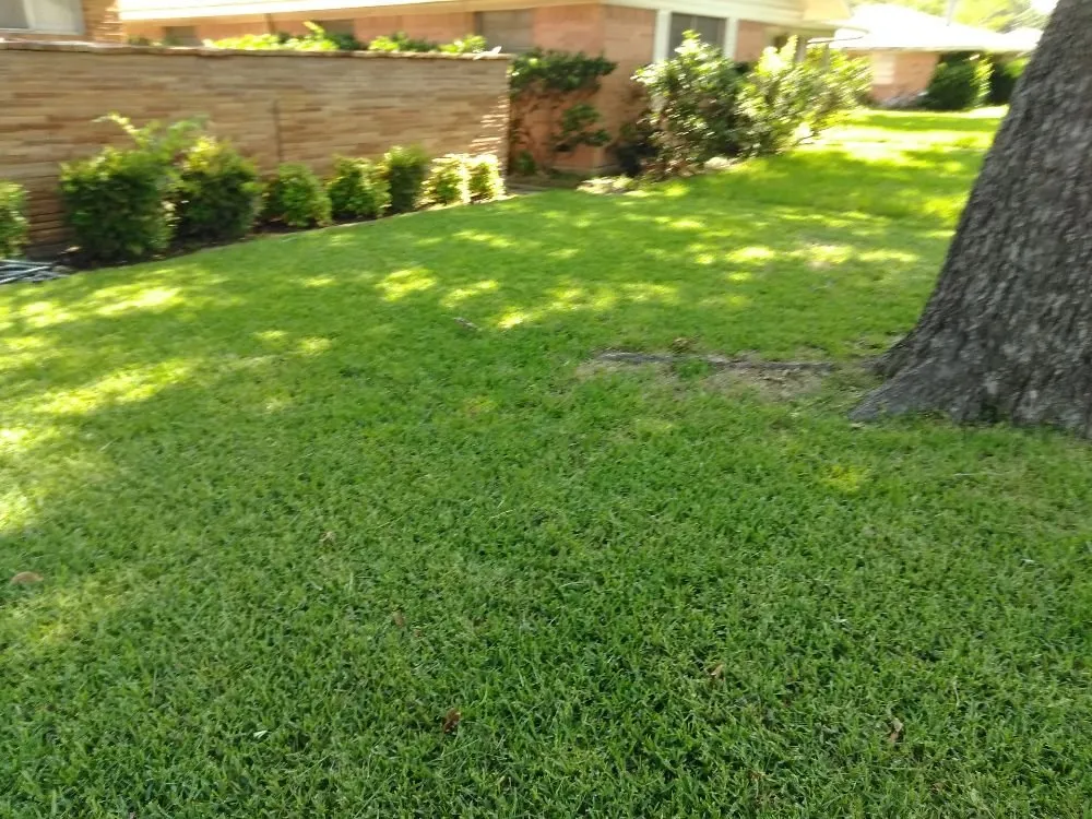 Local yard cleanup service for residential properties across Dallas, TX - Rio Verde Lawn Care & Mowing Services