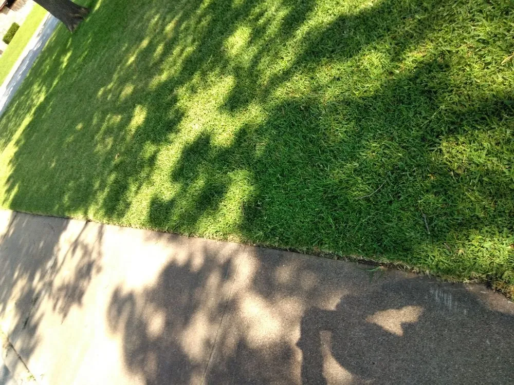 Affordable residential landscaping experts serving Dallas, TX - Rio Verde Lawn Care & Mowing Services