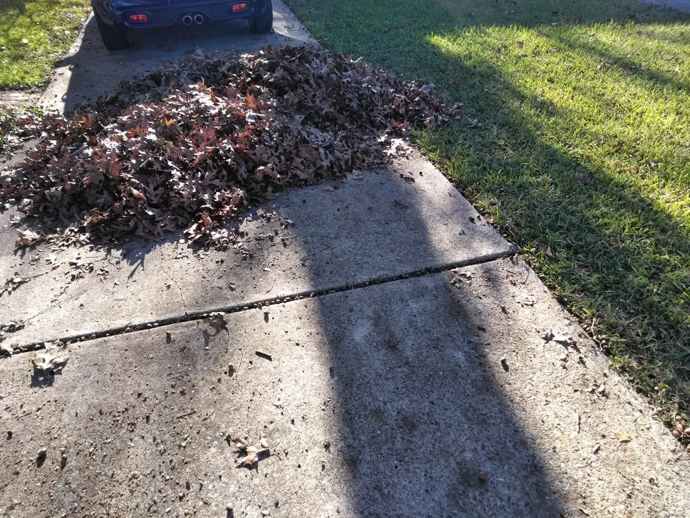 Professional residential landscaping for homes across Dallas, TX - Rio Verde Lawn Care & Mowing Services