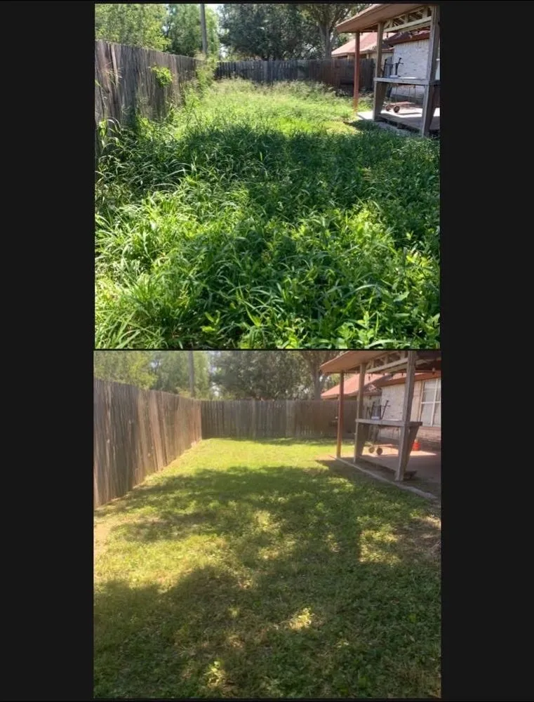 Professional yard cleanup service experts serving Weslaco, TX - RioGValley LawnCare