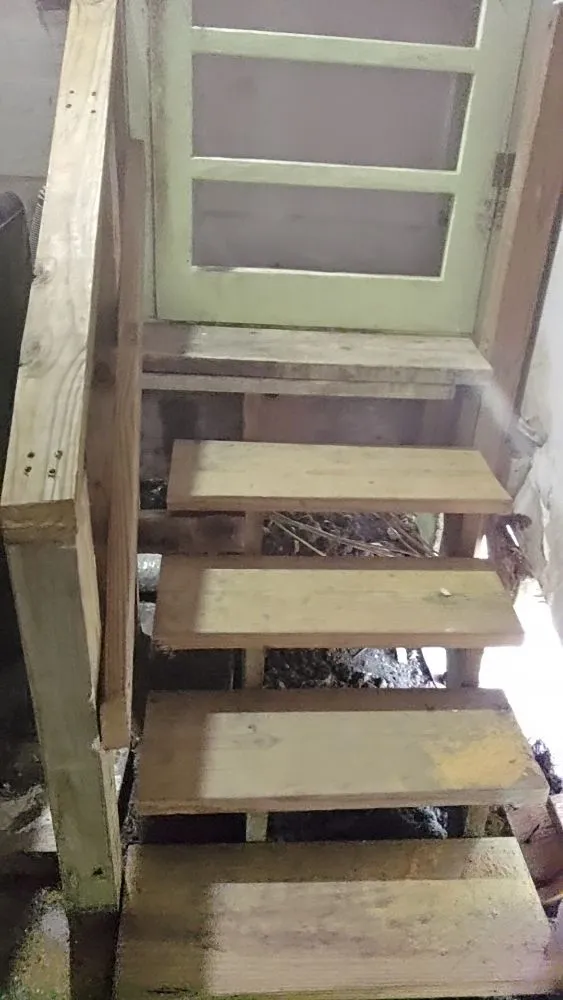 Professional yard maintenance in Corpus Christi, TX - Riojas Lawncare And Handyman