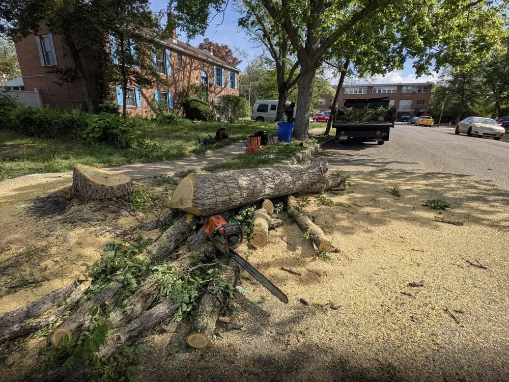 Affordable landscape installation experts serving Chester, PA - Riol’s Landscaping