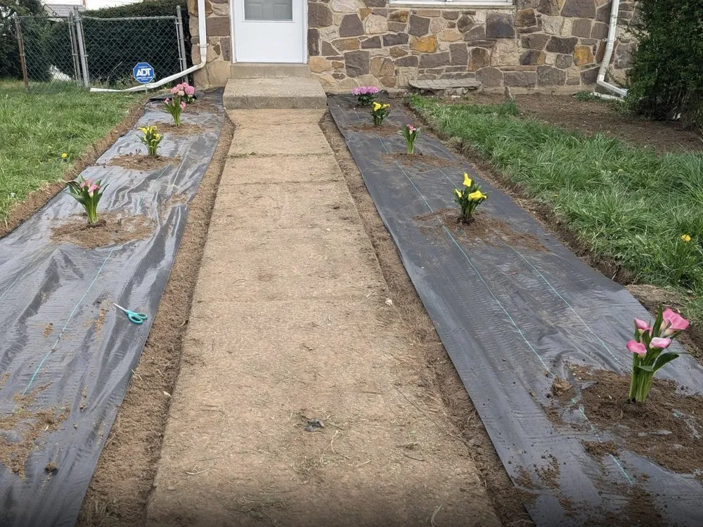 Custom yard cleanup service for year-round maintenance across Chester, PA - Riol’s Landscaping