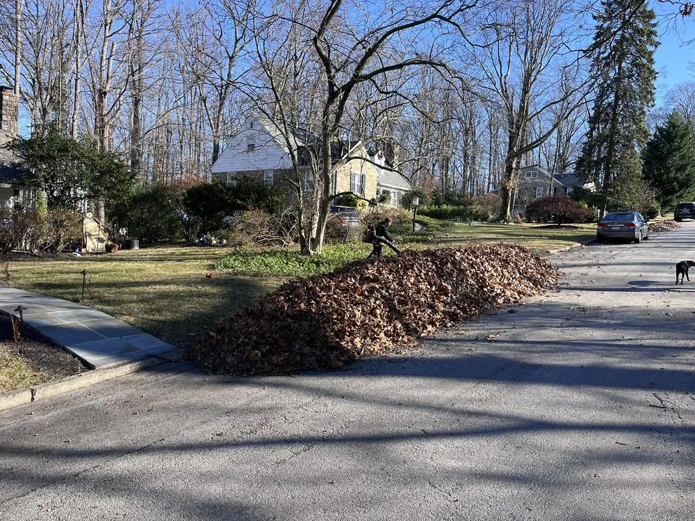 Trusted landscaping services in Chester, PA by Riol’s Landscaping