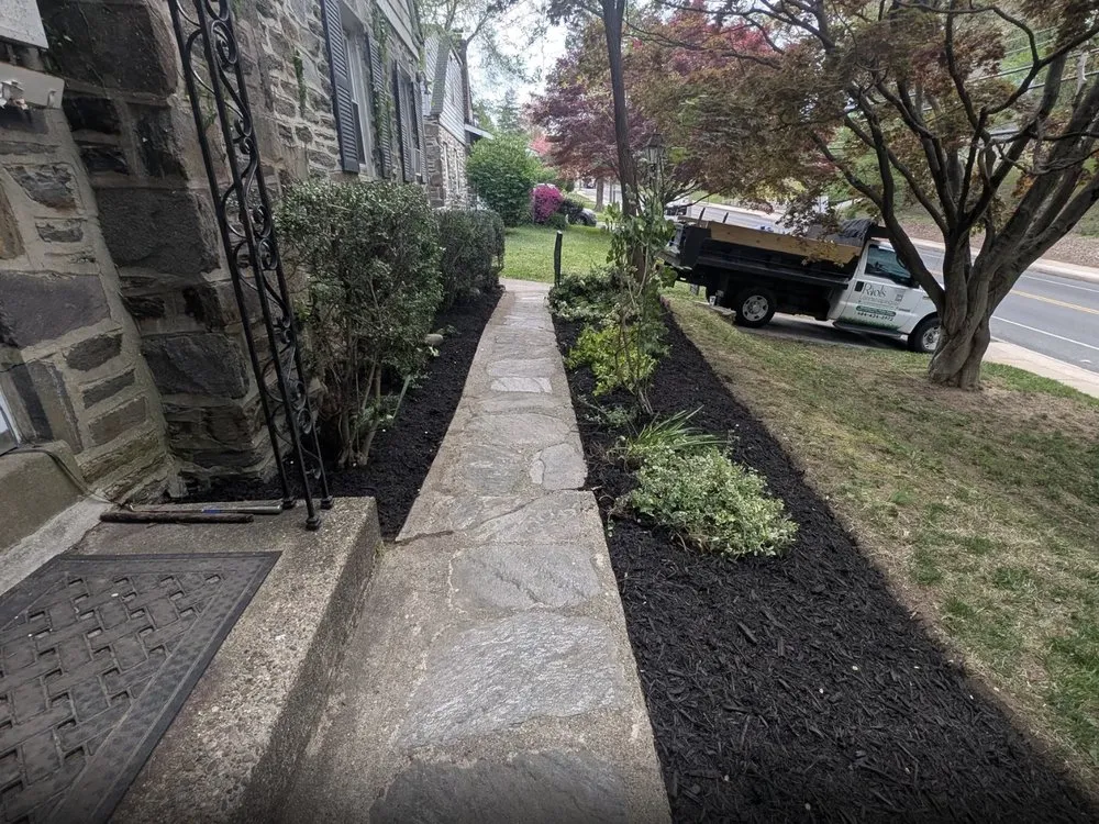 Trusted lawn mowing service in Chester, PA - Riol’s Landscaping
