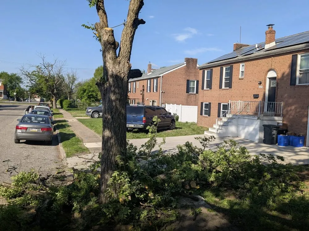 Affordable outdoor landscaping for homes in Chester, PA by Riol’s Landscaping