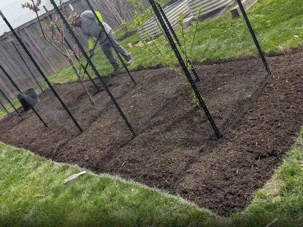 Custom landscape design in Chester, PA by Riol’s Landscaping