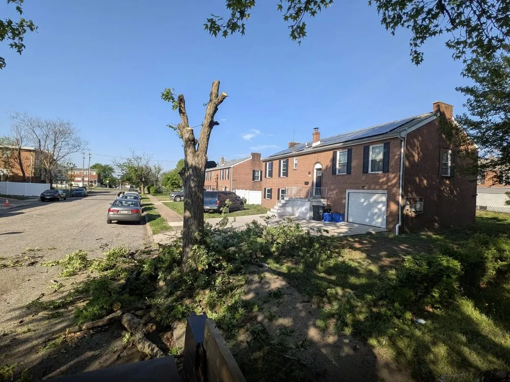 Top-rated landscape installation experts serving Chester, PA - Riol’s Landscaping