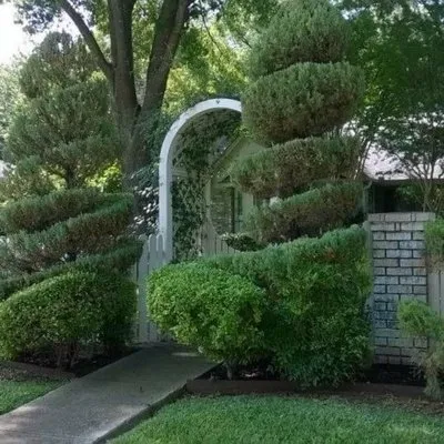 Rios and Rios Landscaping Logo