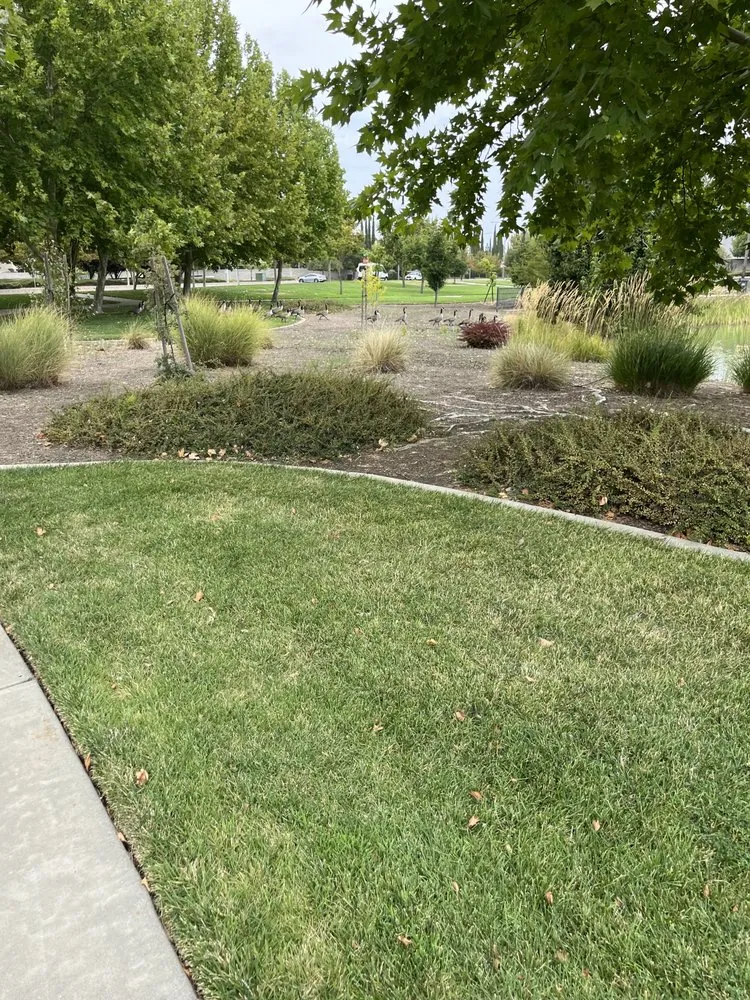 Expert lawn mowing service in Sacramento, CA by Rios fresh cuts lawn care & handyman services