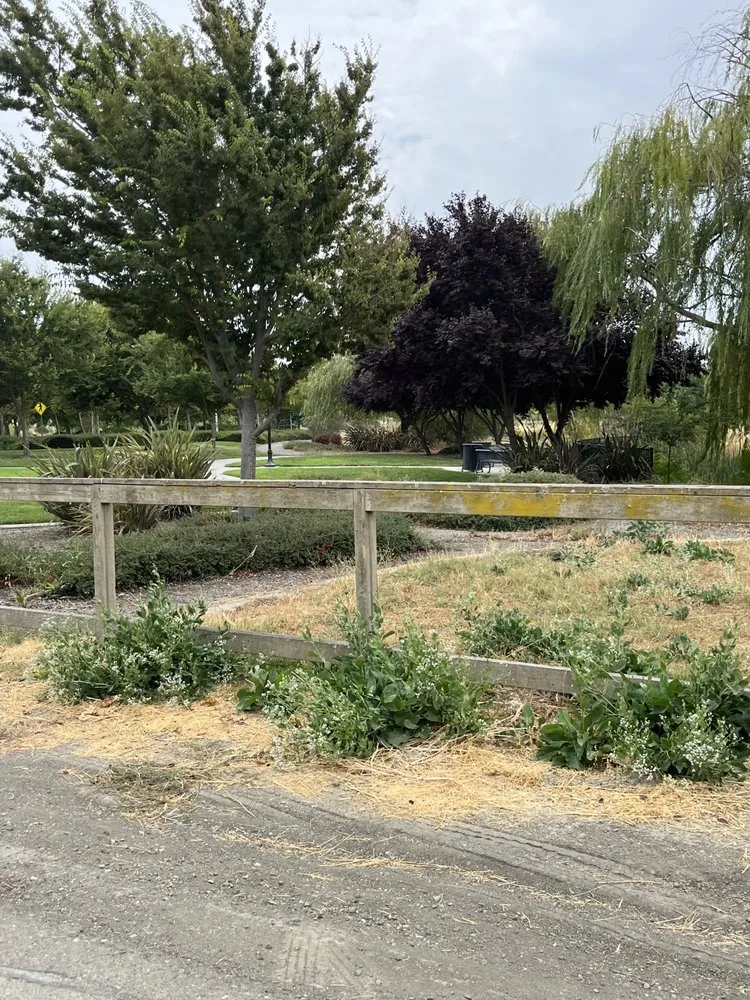 Custom outdoor landscaping for year-round maintenance across Sacramento, CA - Rios fresh cuts lawn care & handyman services