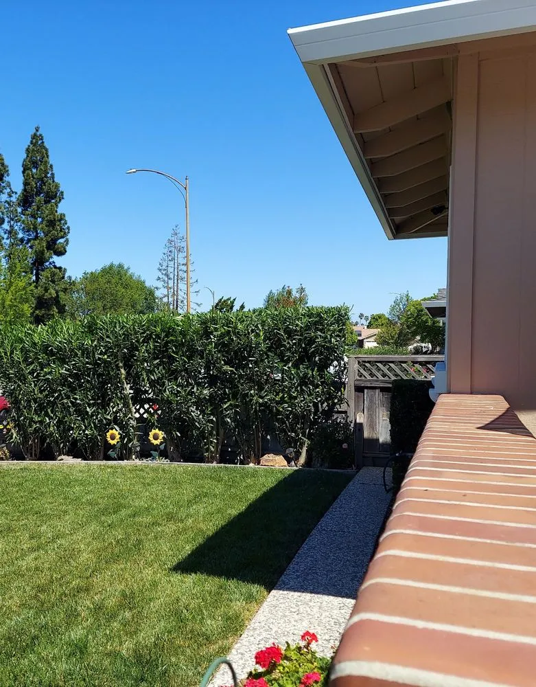 Local residential landscaping for residential properties across San Jose, CA - Rios Gardening