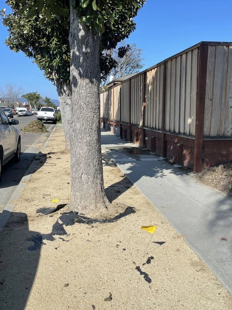 Professional landscape installation experts serving San Jose, CA - Rios Gardening