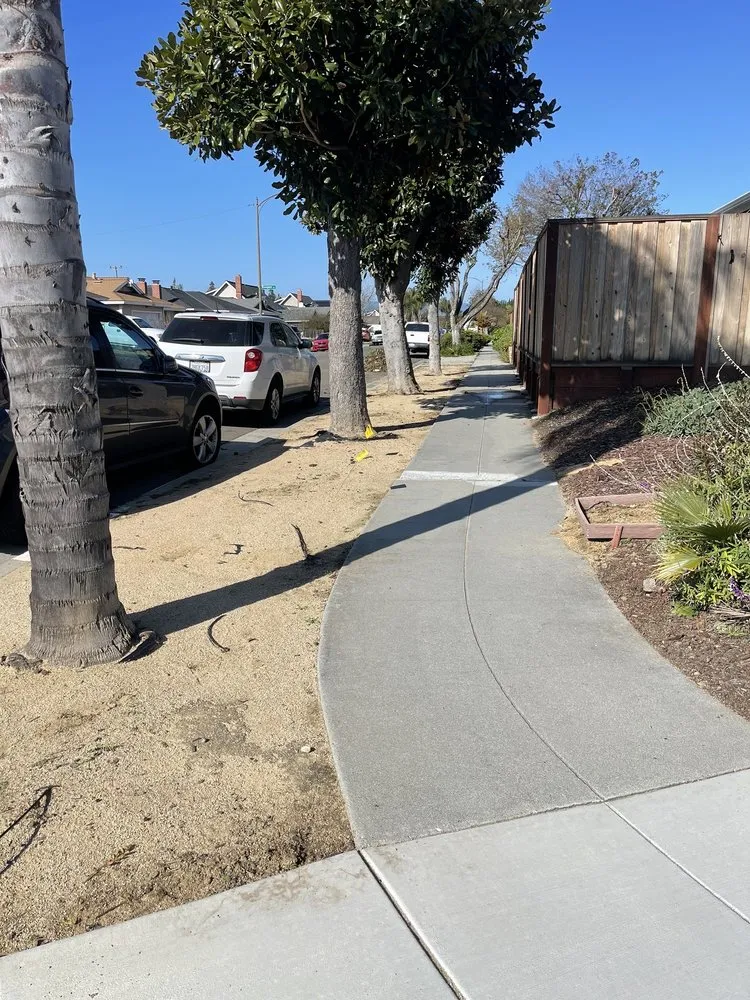 Expert landscape design in San Jose, CA - Rios Gardening