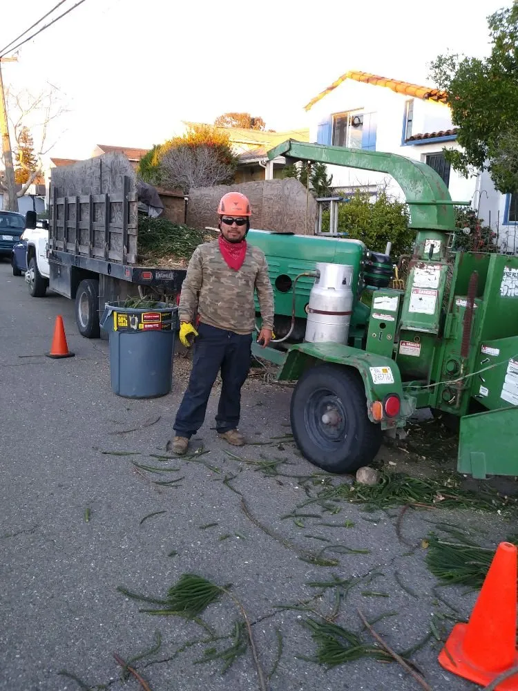 Expert landscaping services for outdoor upgrades across San Jose, CA - Rios Gardening