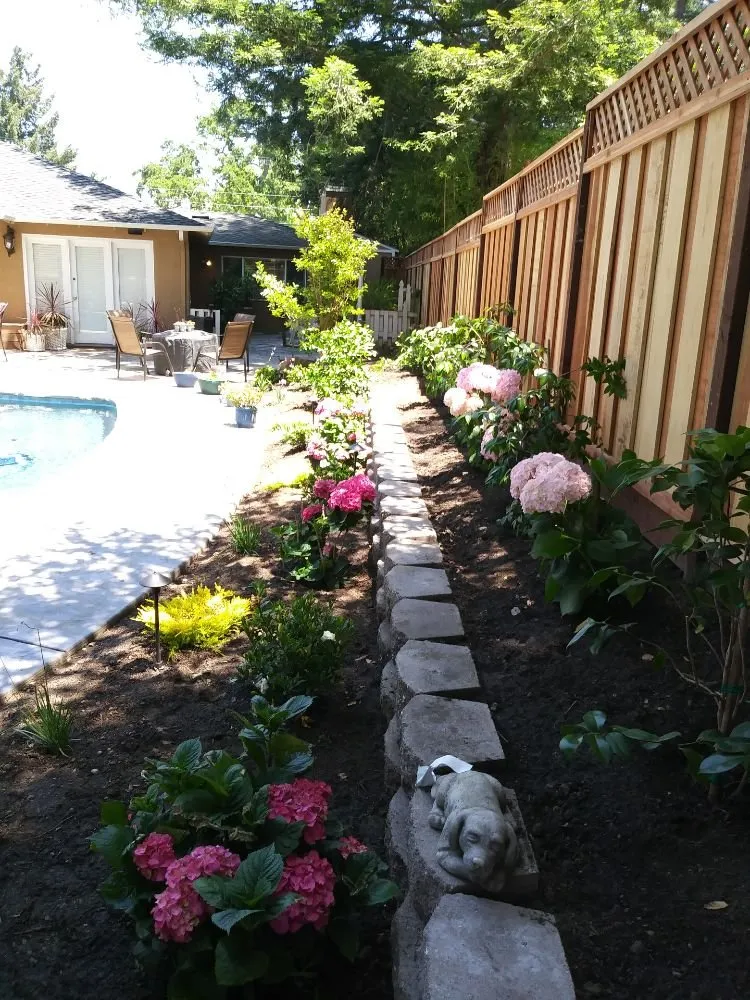 Professional lawn mowing service in San Jose, CA - Rios Gardening