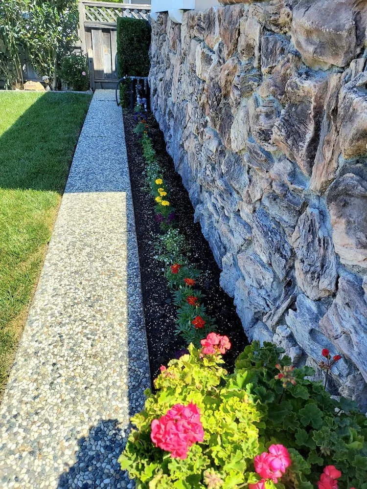 Expert landscape design in San Jose, CA by Rios Gardening