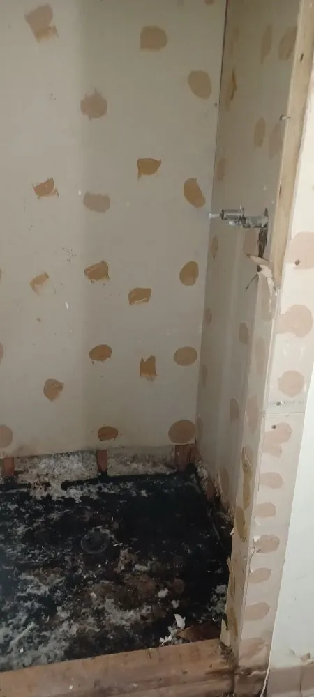 Affordable garden landscaping in Hot Springs, AR - Rios General Contractor