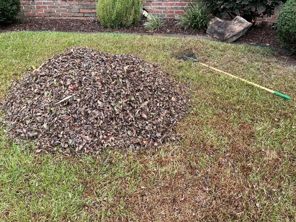 Trusted outdoor landscaping in Hot Springs, AR by Rios General Contractor