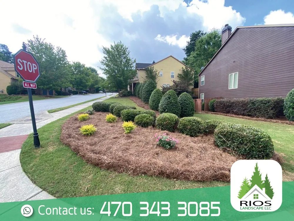 Expert yard cleanup service for outdoor upgrades across Acworth, GA - Rios Landscape