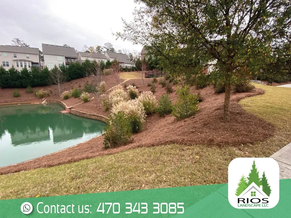 Trusted landscape installation experts serving Acworth, GA - Rios Landscape