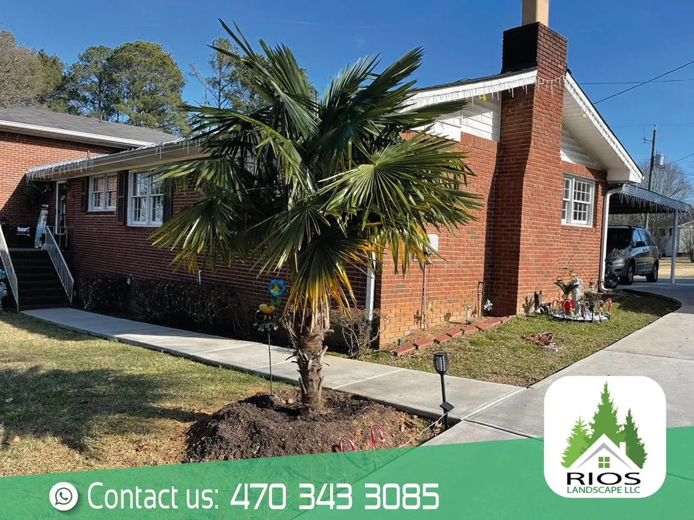 Expert lawn care service for outdoor upgrades in Acworth, GA by Rios Landscape