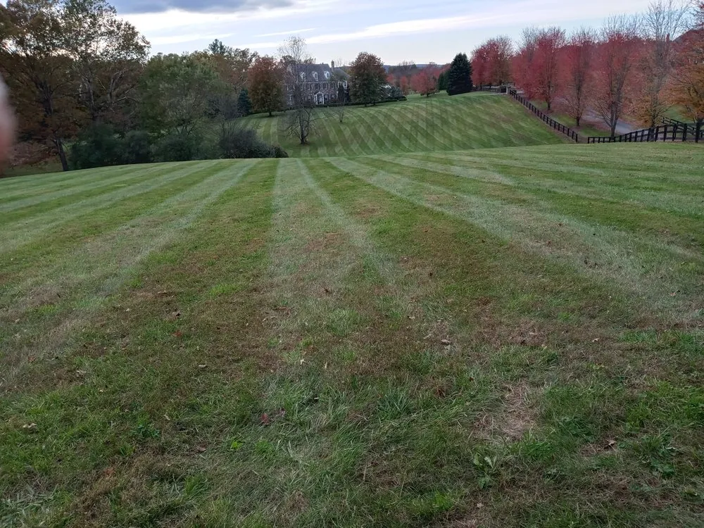 Reliable garden landscaping for year-round maintenance in Purcellville, VA by Rios Landscaping & More