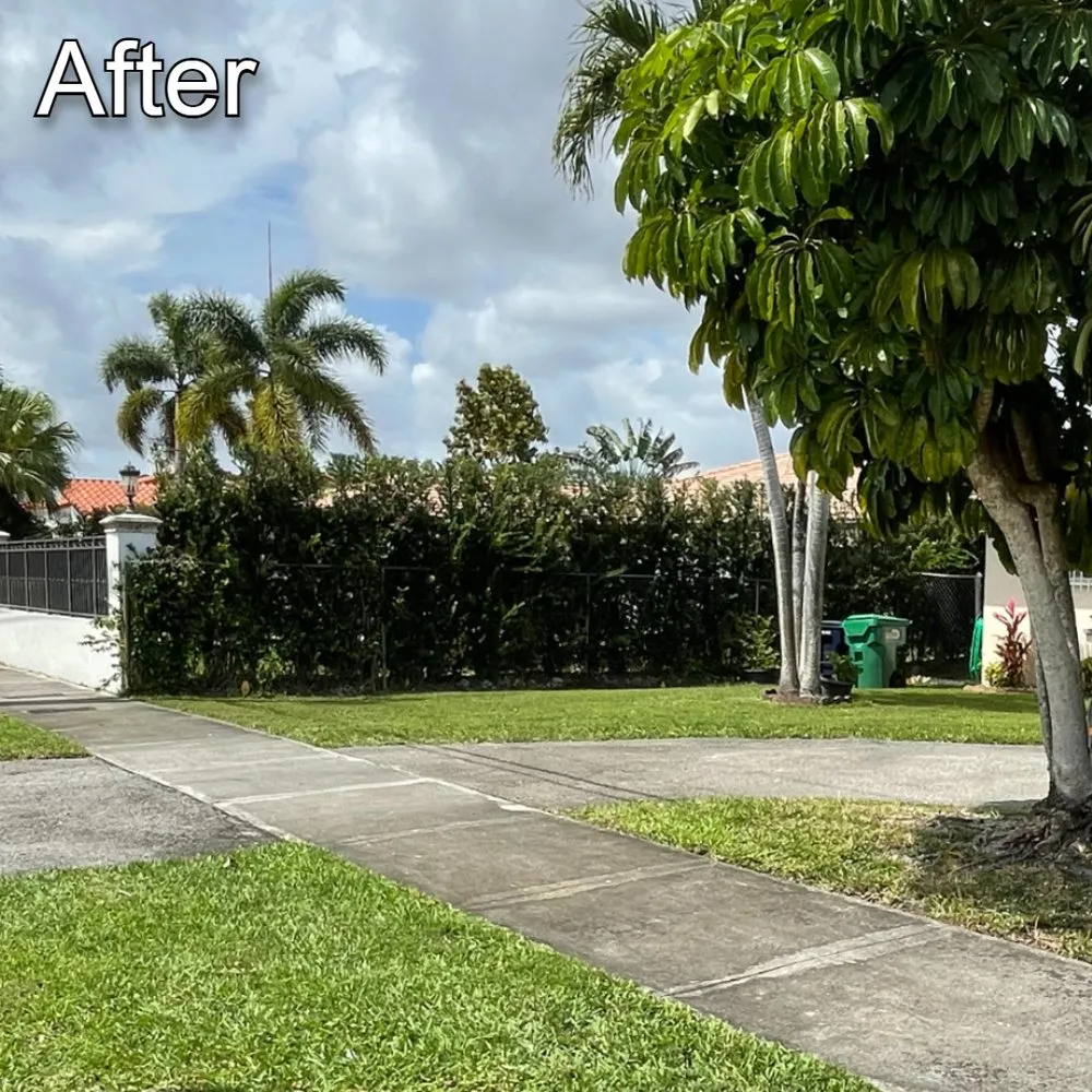 Top-rated residential landscaping experts serving Miami, FL - Rios Landscaping & Pressure Washing