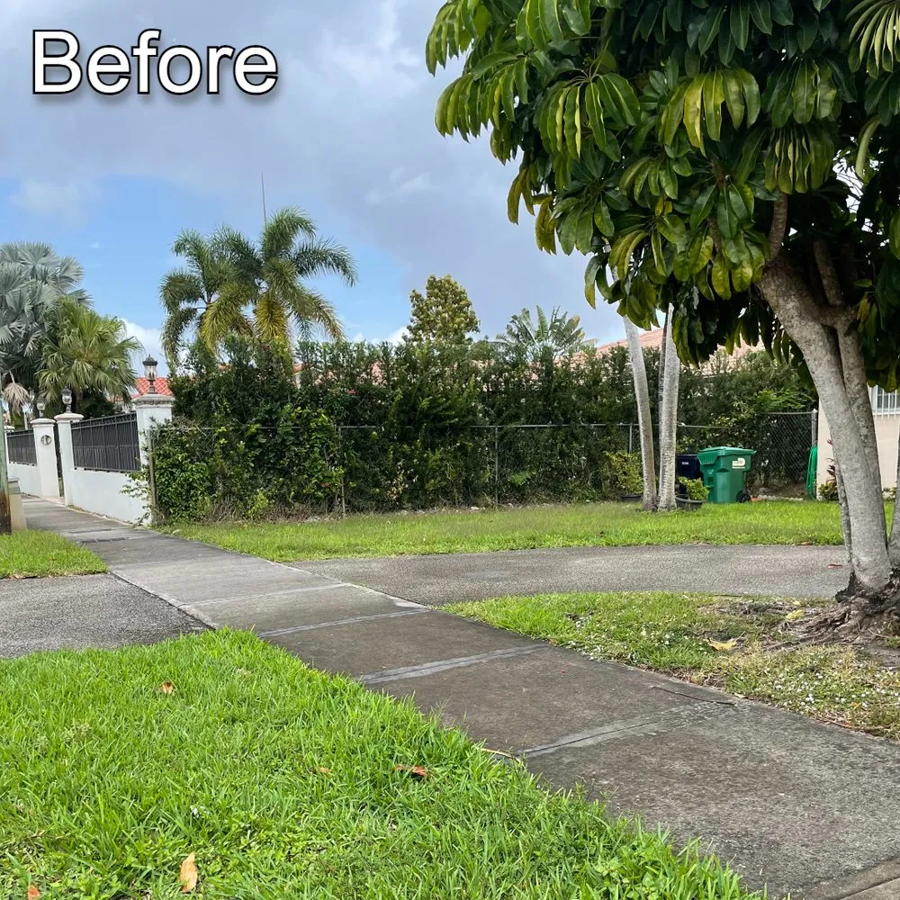 Trusted lawn care service near you across Miami, FL - Rios Landscaping & Pressure Washing