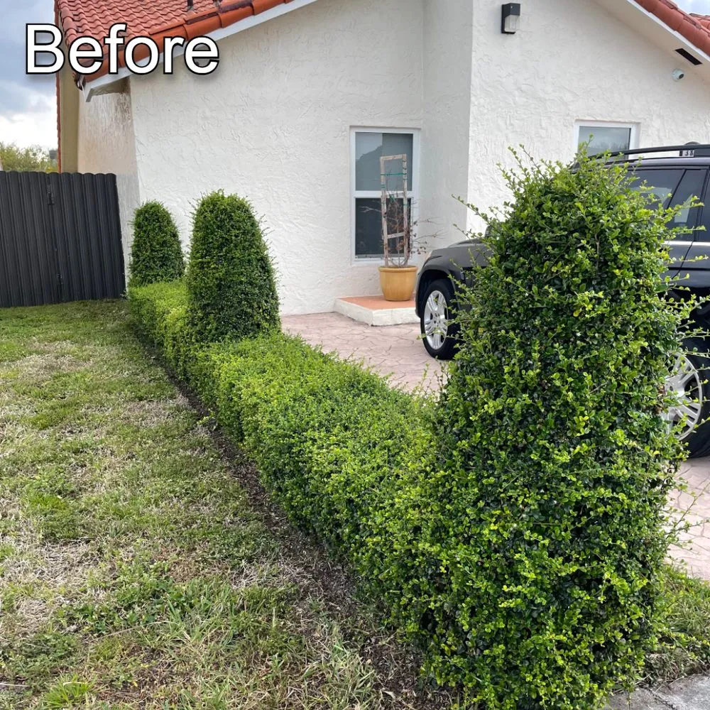 Reliable residential landscaping for beautiful yards in Miami, FL by Rios Landscaping & Pressure Washing