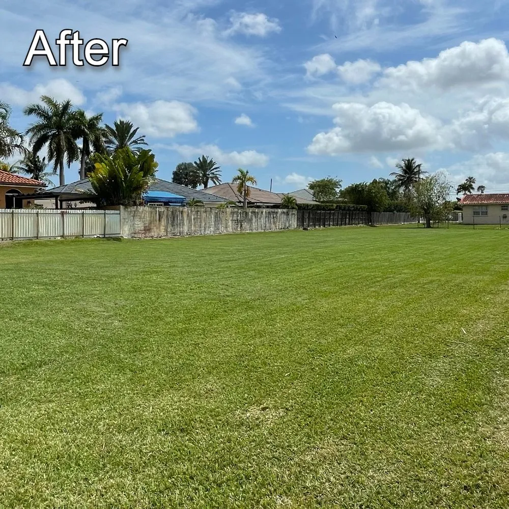 Expert landscape design for residential properties in Miami, FL by Rios Landscaping & Pressure Washing