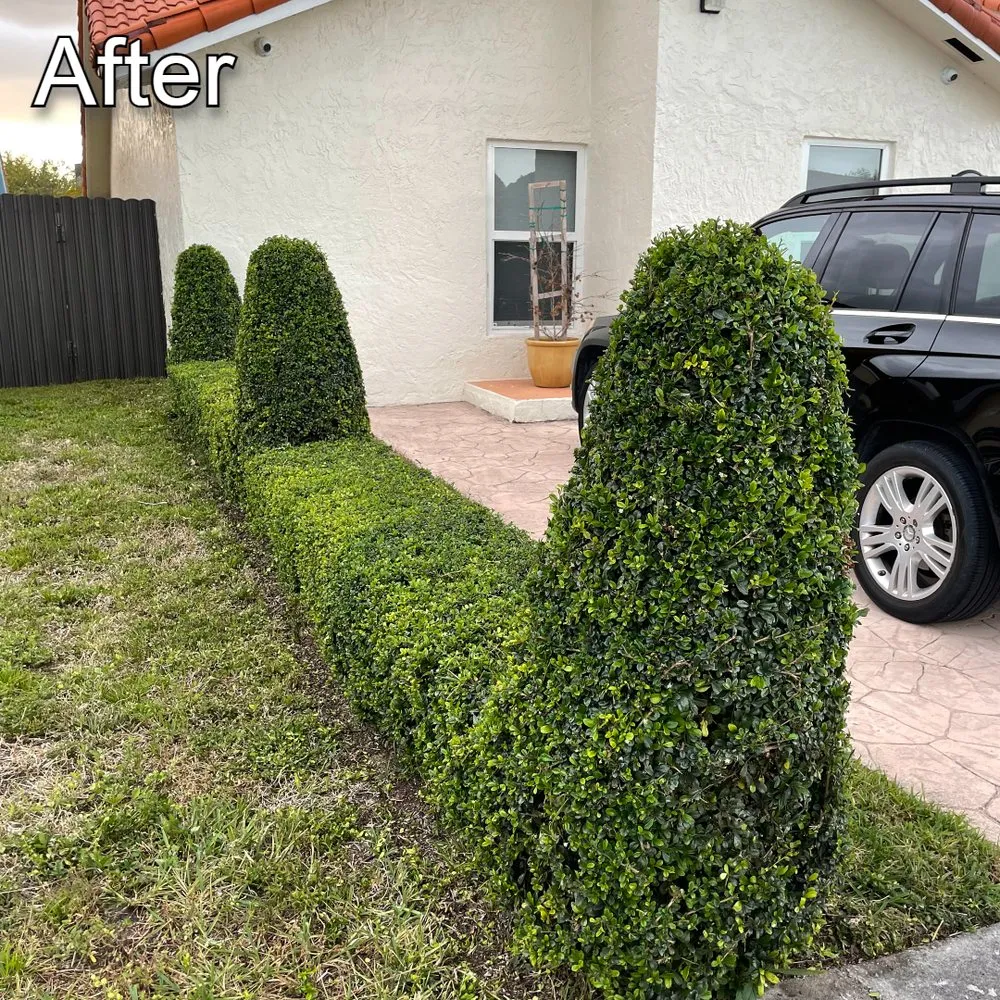 Expert garden landscaping in Miami, FL by Rios Landscaping & Pressure Washing