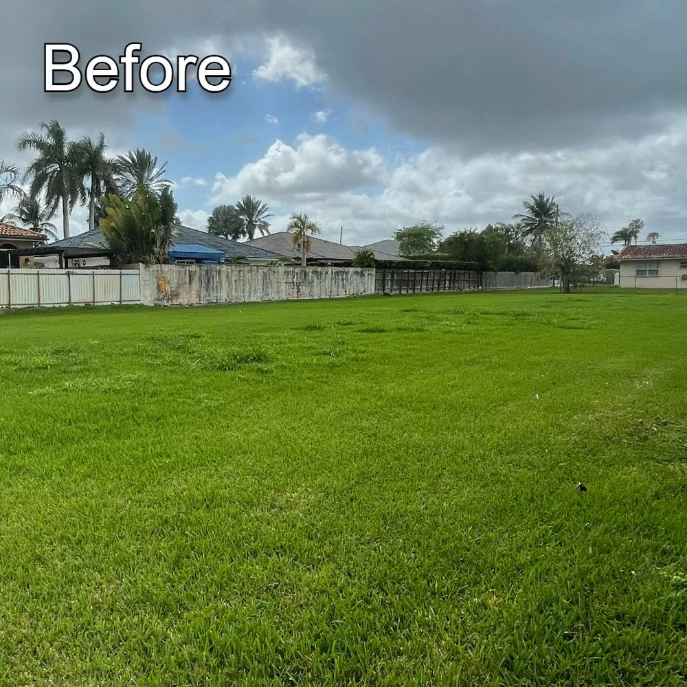 Top-rated lawn care service for residential properties across Miami, FL - Rios Landscaping & Pressure Washing
