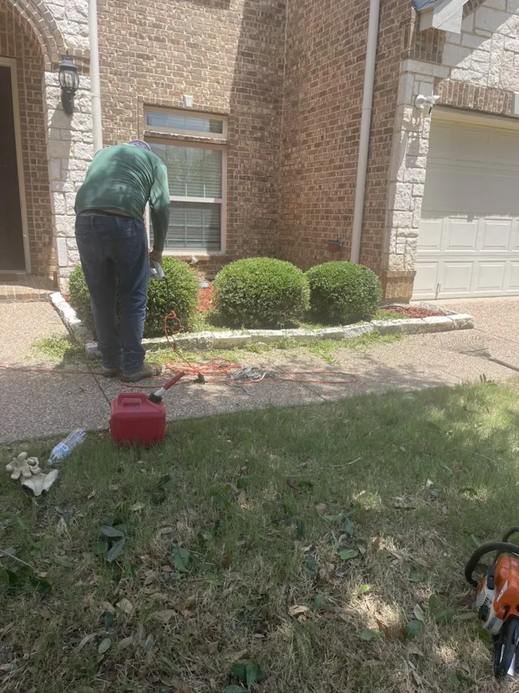 Top-rated yard cleanup service near you across Dallas, TX - Rios Landscaping